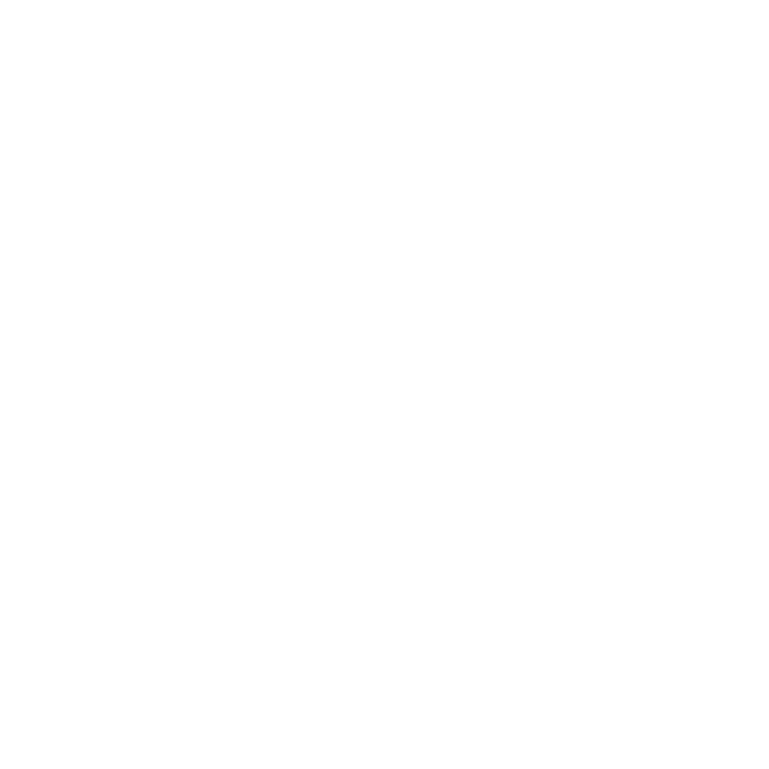 Wild West Boat Tours Logo